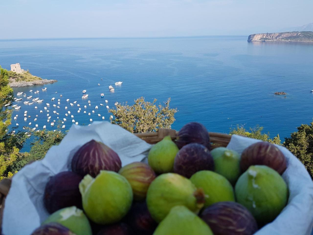 Villa Crawford San Nicola Arcella Eksteriør bilde